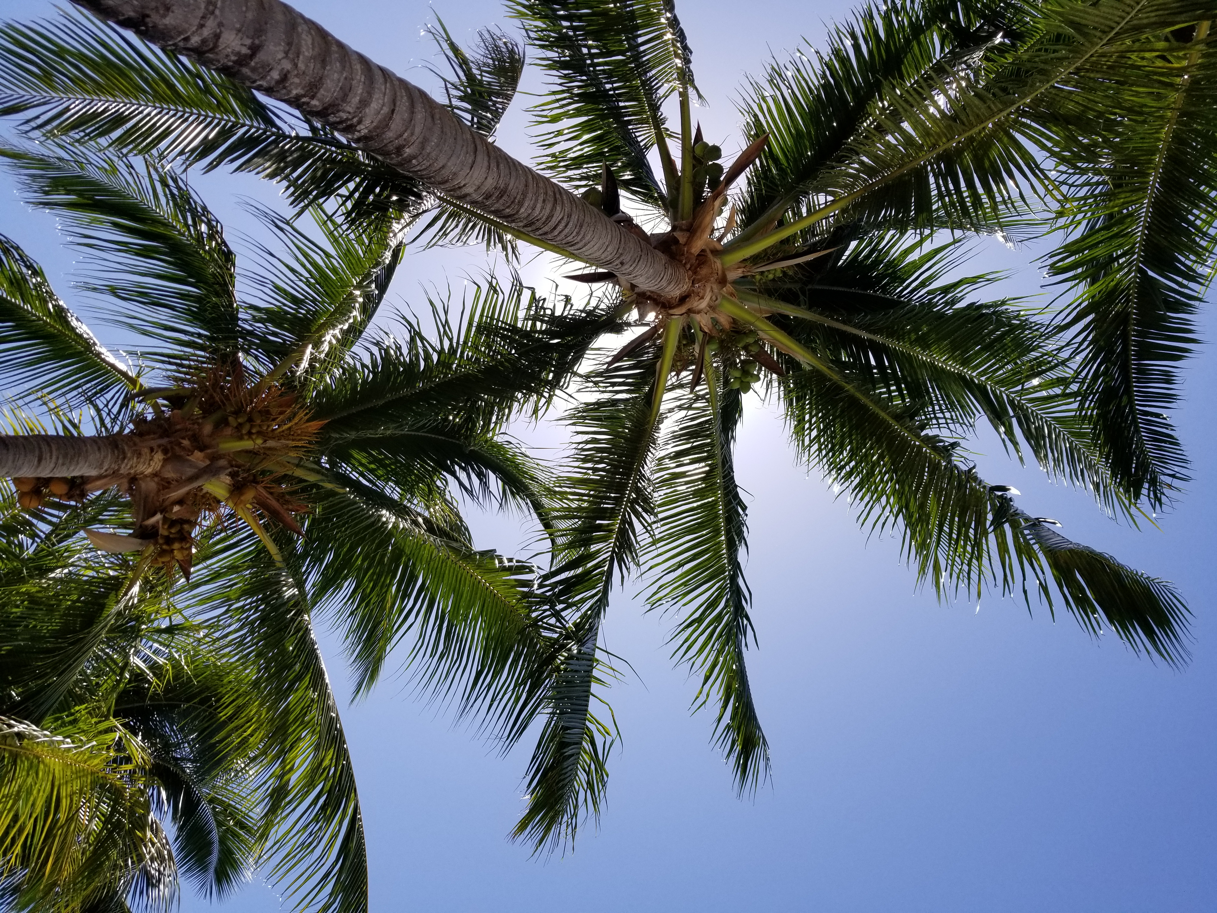 4 praias em Vitória que você precisa conhecer | Accor